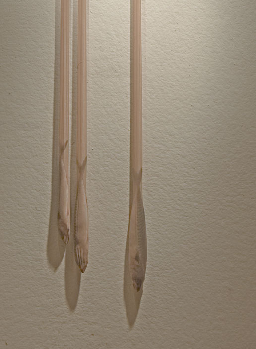 Christopher Robbins: The Best Mother Joke Ever (2007)